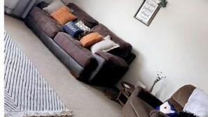 A living room with a ceiling fan, a sofa with cushions, a rug, and a small table with a plant. - Grant City Nightly Rental

 (Grant City)