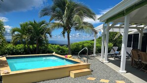 En swimmingpool med udsigt til havet, omgivet af palmer og en overdækket patio med liggestole.