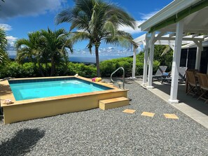 Zwembad met uitzicht op de oceaan, omringd door palmbomen en een overdekt terrasgedeelte met ligstoelen.