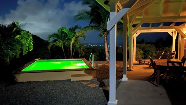 En swimmingpool med udsigt over havet om natten, omgivet af palmer og en overdækket terrasse.