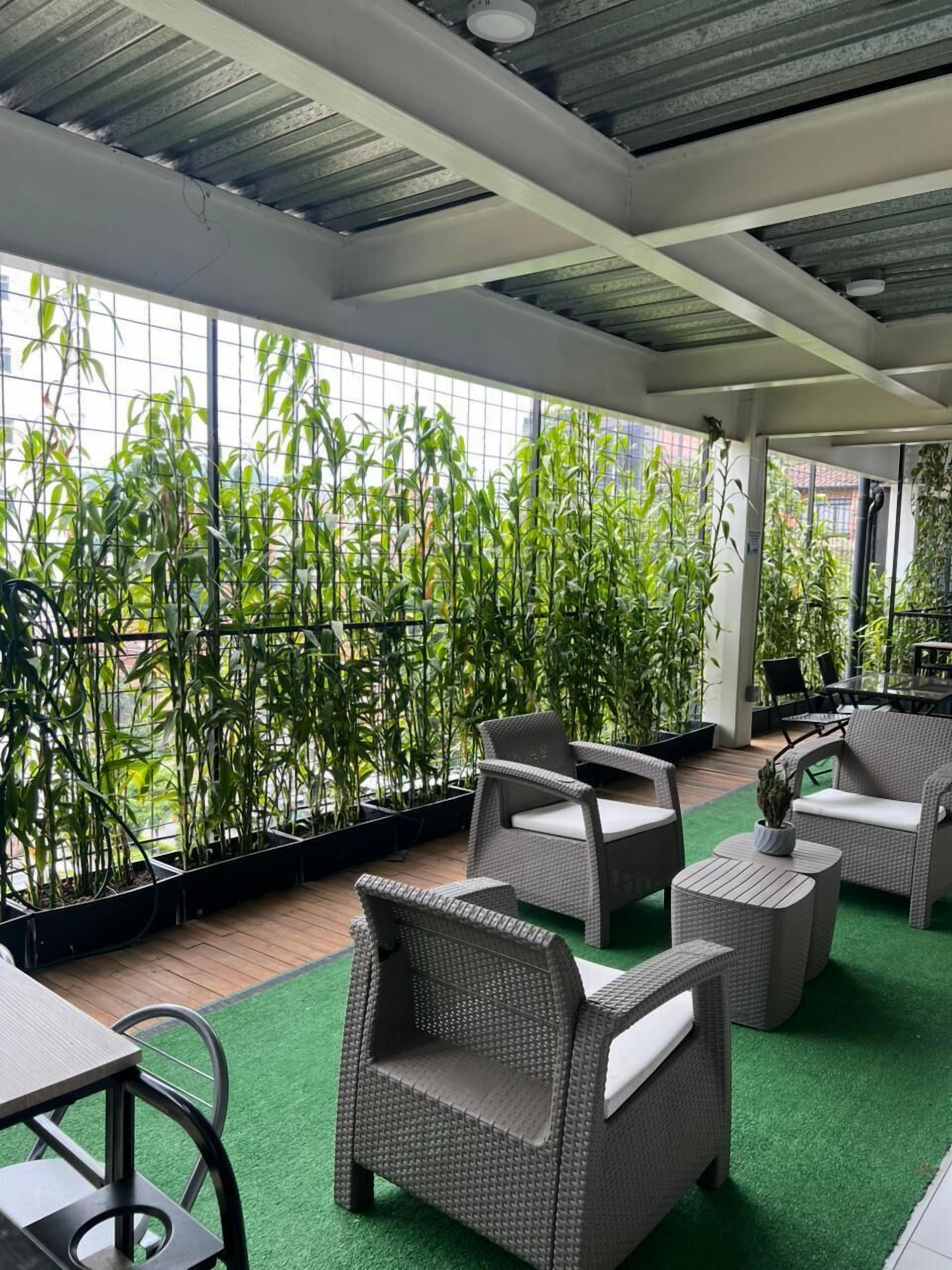 An indoor patio area with wicker furniture, green artificial turf, and tall bamboo plants.