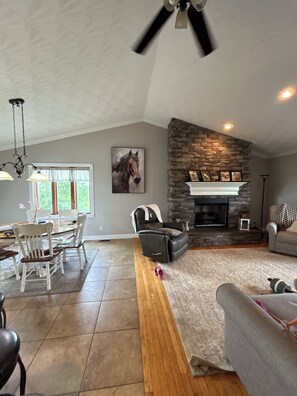 TV connectée, cheminée, lecteur de DVD, livres