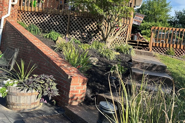 Jardines del alojamiento