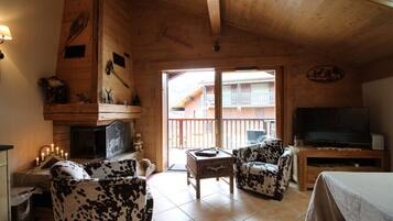 TV connectée, cheminée, lecteur de DVD, livres