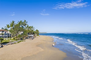 On the beach - Ocean Front Hot tub Pool Kite Beach Condo 101 (Kite Beach)