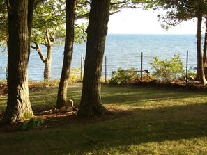 A grassy area with trees and a view of the sea.