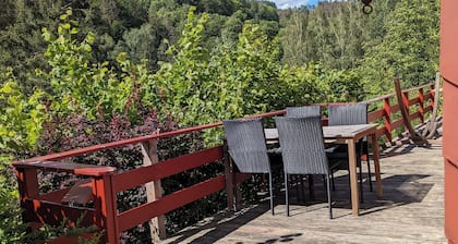 Ferienhaus mit Außensauna im Thüringer Wald