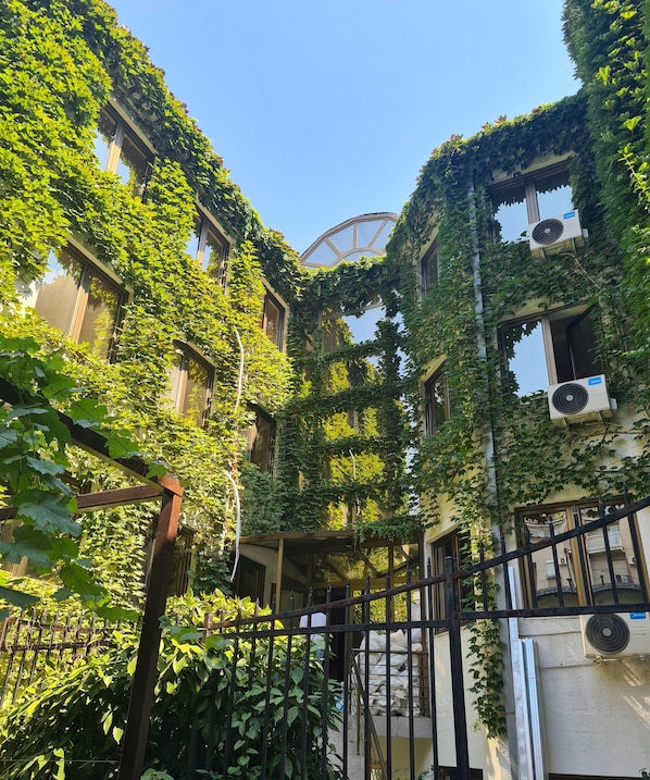 Front of property - Fera (Belgrade)