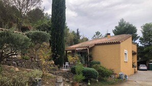 A yellow house with a tiled roof, a stone wall, and a garden with various plants and a tall tree.