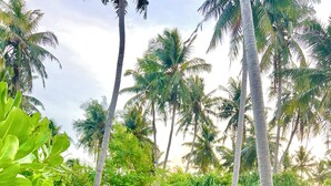 Exterior - Holiday Home Dhiffushi (Dhiffushi)