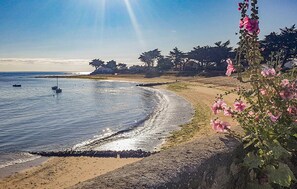 Een strand met kalm water, een boot en een rij bomen in de verte.