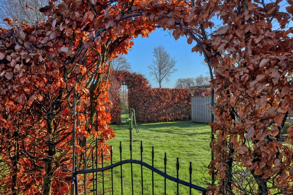 Área da propriedade