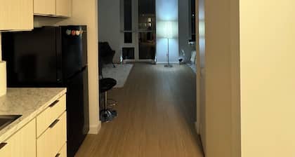 2 bed condo in Manhattan, NYC Brownstone