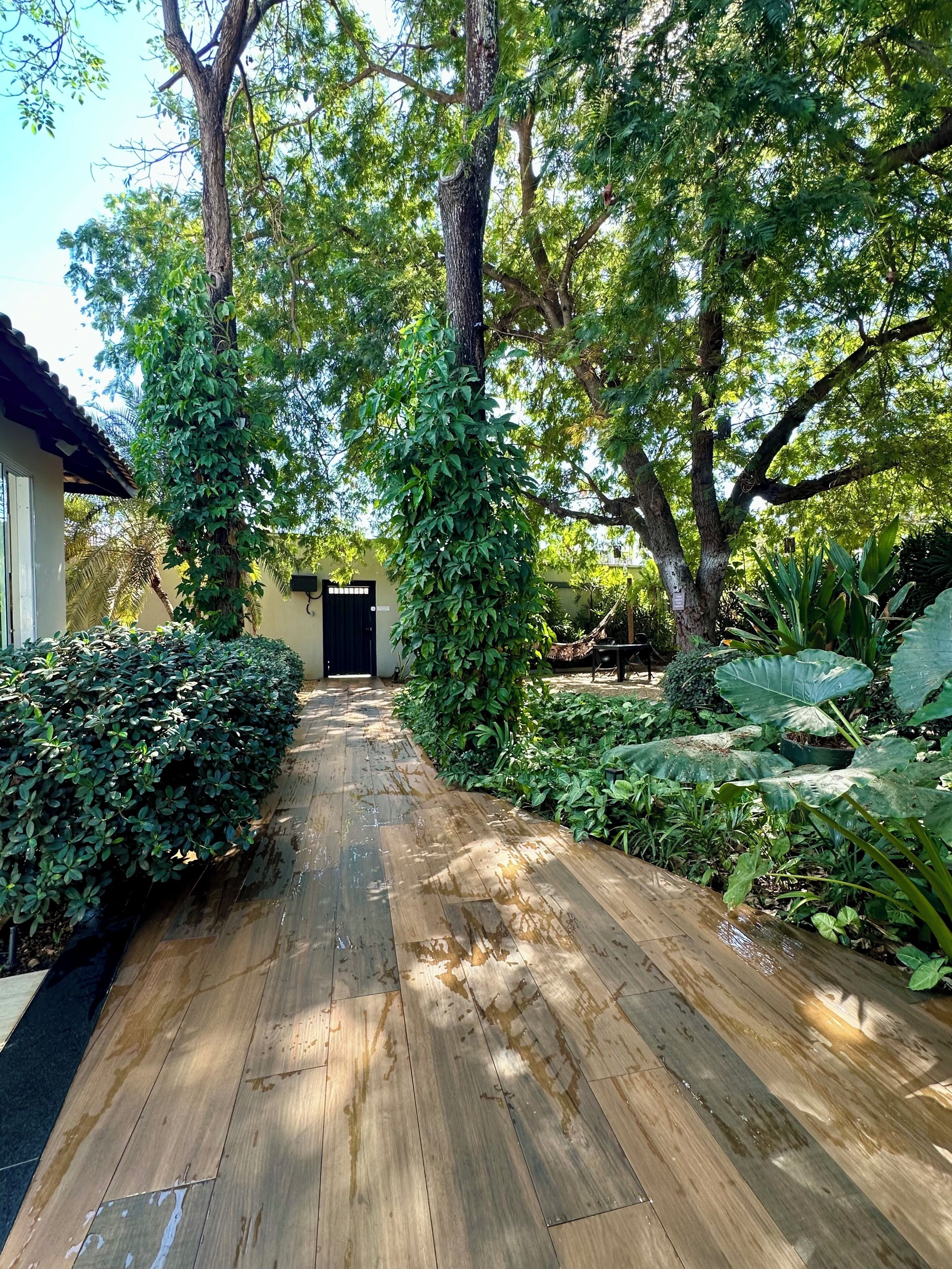 A wooden pathway leading to a building with a black door, surrounded by lush greenery and trees.