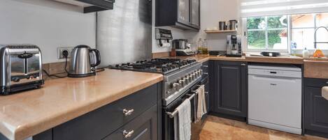 Fridge, oven, stovetop, dishwasher