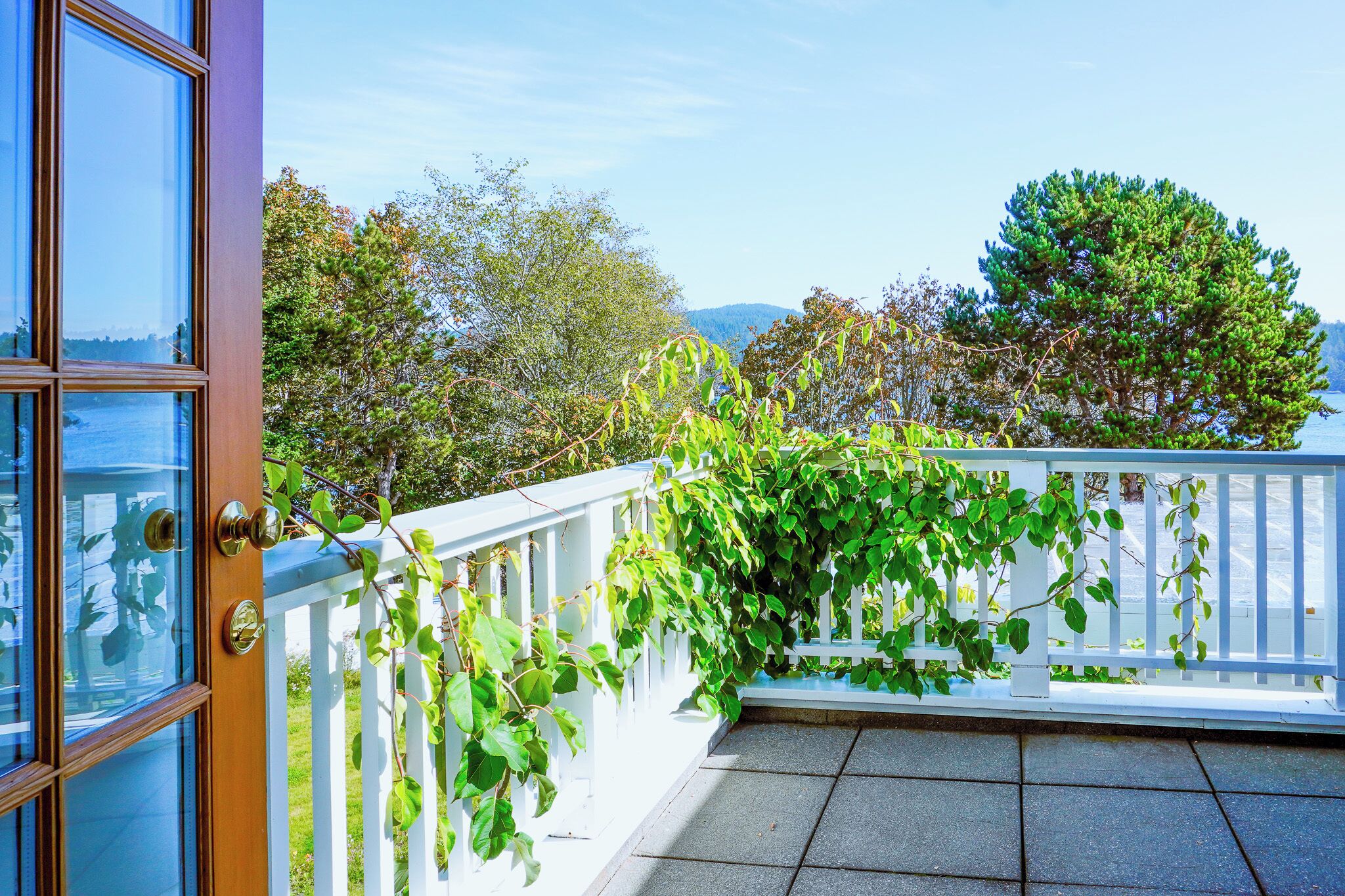 A balcony with a white railing, a view of trees and a body of water.