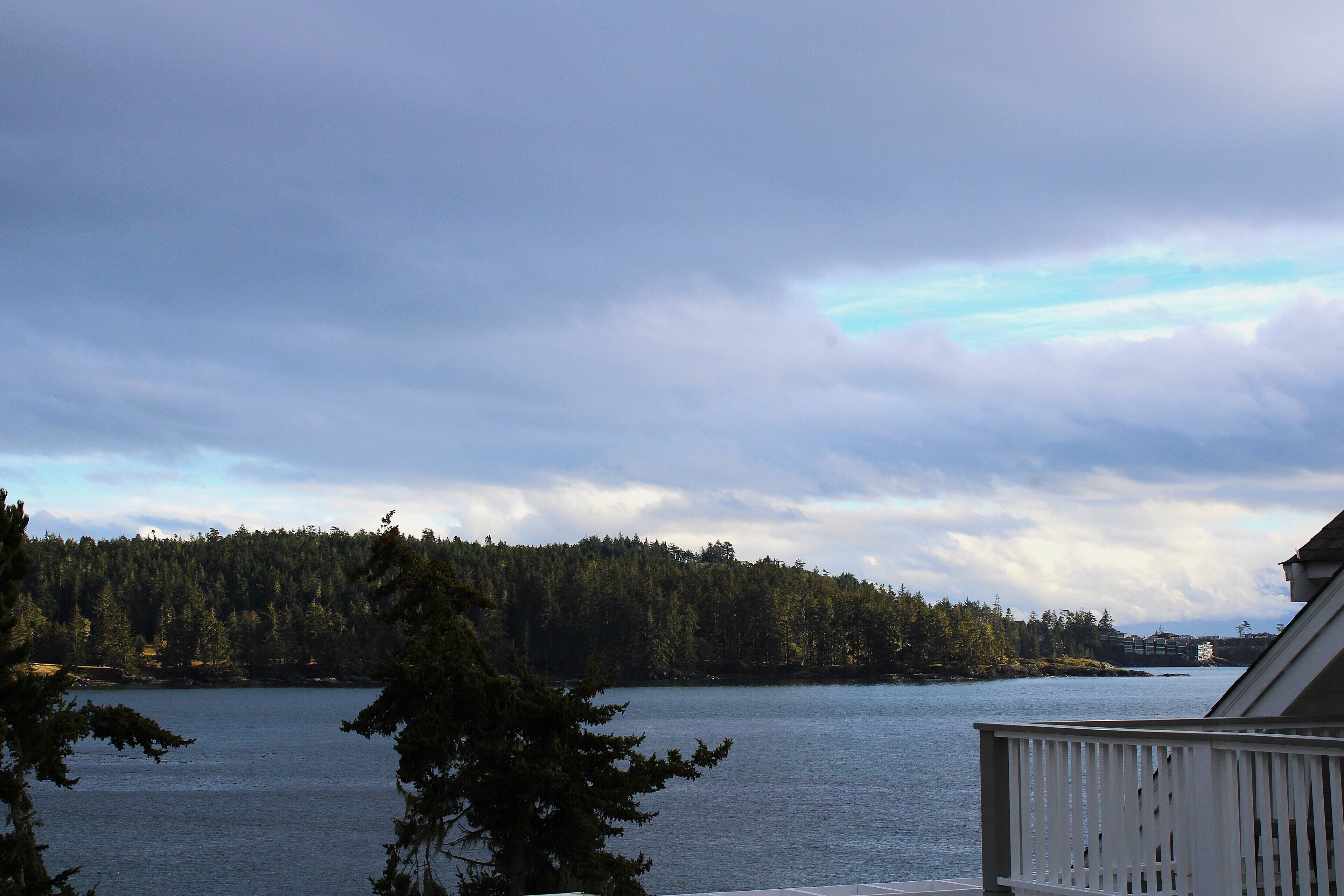 A view of a lake with a forested shoreline and a building in the distance.