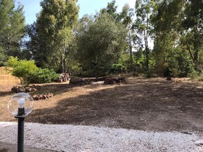 Property grounds - Country house nestled in the Mediterranean bush (Galtellì)