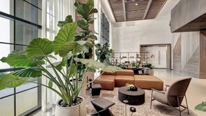 A spacious, modern lounge area with a large sectional sofa, a coffee table, and a potted plant. - Luxury apartment. Amazing view Downtown MIAMI (Miami)