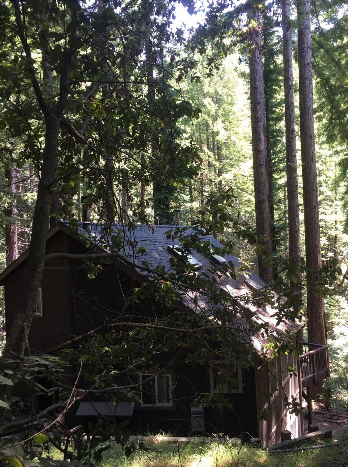 Imagen de perfil del propietario o de la propietaria