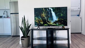 A modern living room with a flat-screen TV on a black entertainment unit, a potted plant, and a patterned rug.
