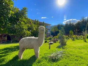 Exterior - Runaway Eco Hotel (Acopampa)