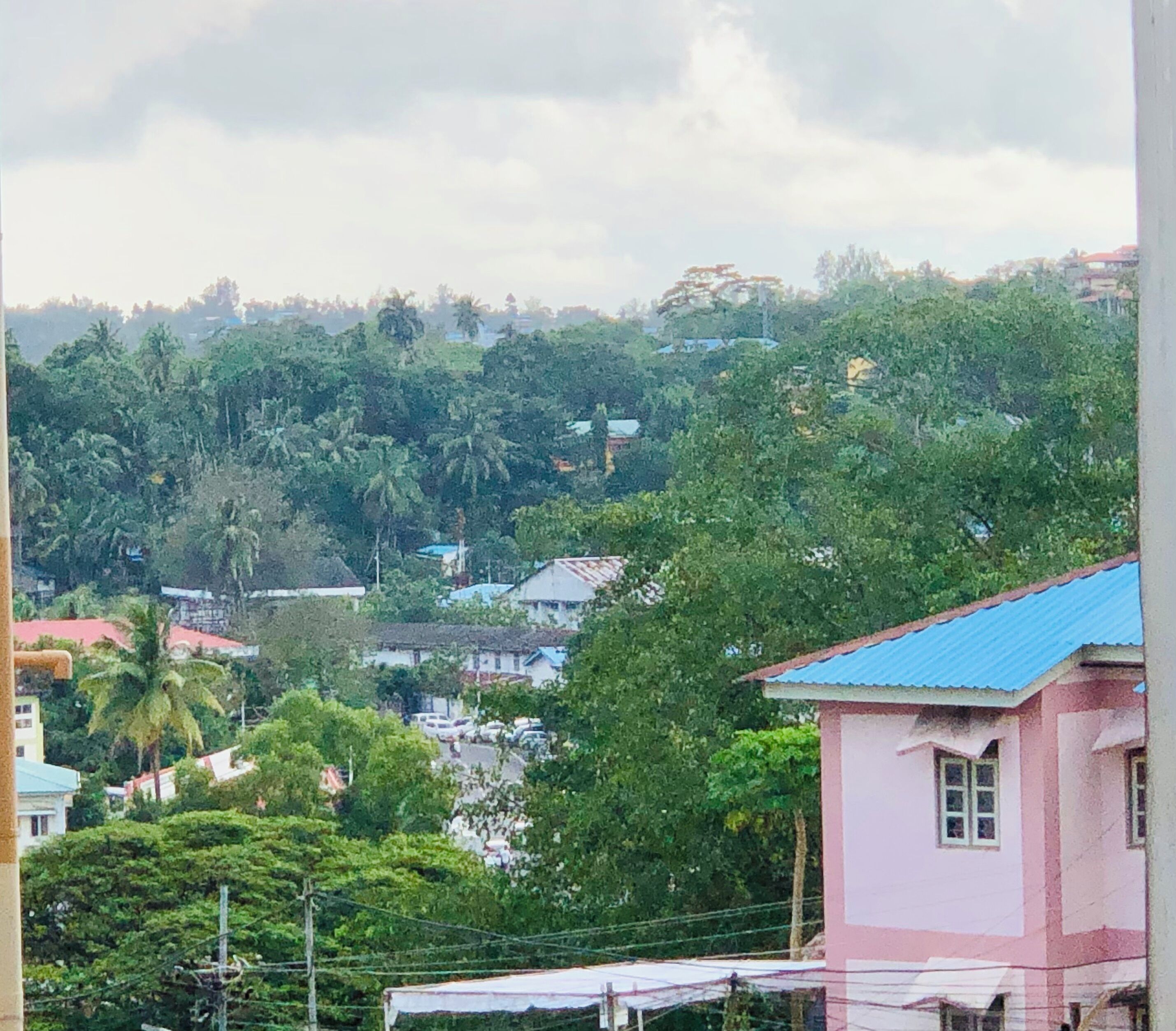 A residential area with houses surrounded by dense greenery and trees.