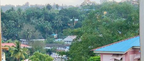 A residential area with houses surrounded by dense greenery and trees.