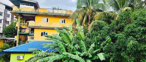 A multi-story yellow building with balconies, surrounded by lush greenery and banana plants.