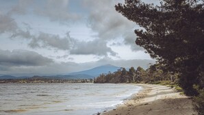 A beach with a sandy shore, trees, and a mountain in the background. - Askew with a View (Dover)