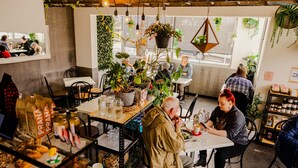 Un café acogedor con mesas, sillas, plantas colgantes y vistas al exterior.