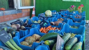 A market stall with various vegetables and eggs displayed in blue bins. - Gite in the heart of nature 15 minutes from Colmar  (Widensolen)
