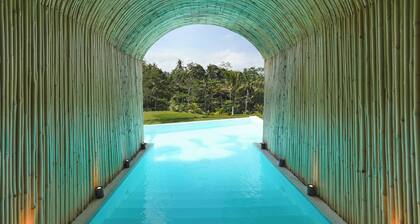 Eco Six Bali