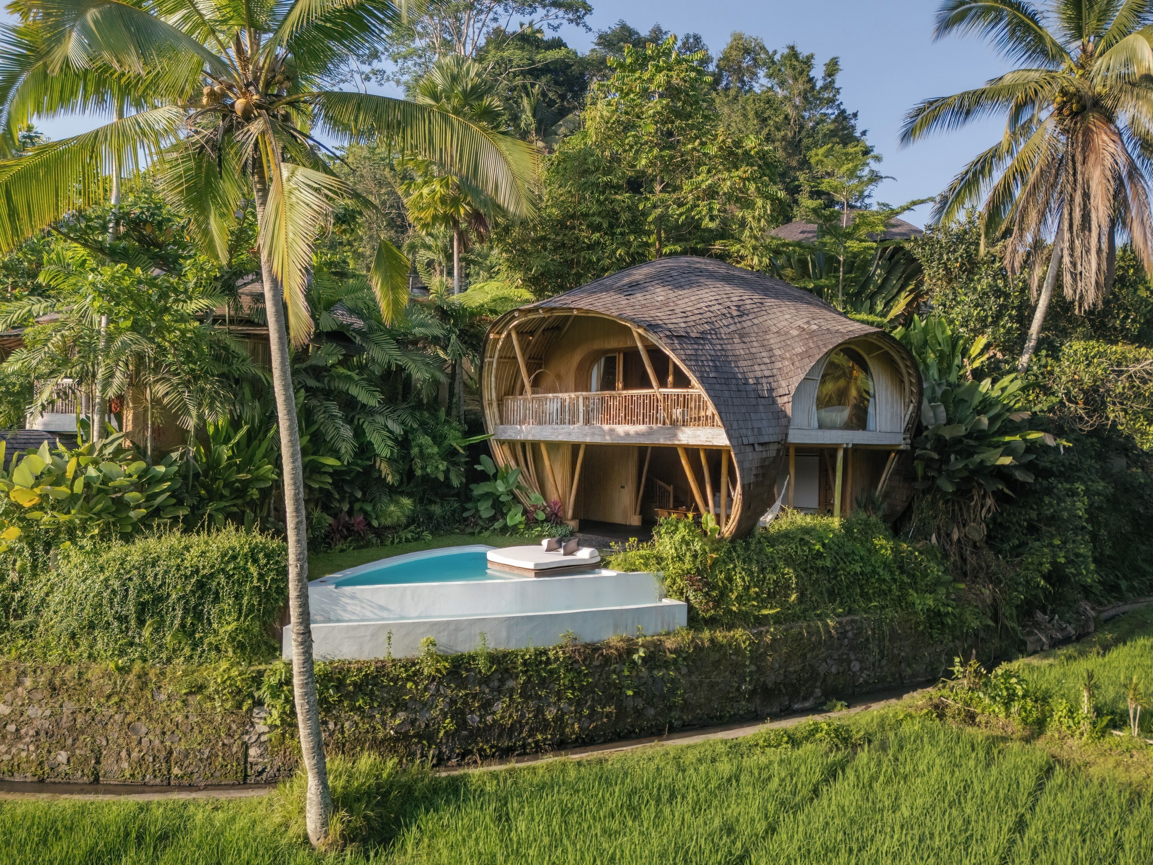 Une cabane perchée dans un arbre, dotée d’un toit incurvé, entourée d’une végétation luxuriante et agrémentée d’une piscine.