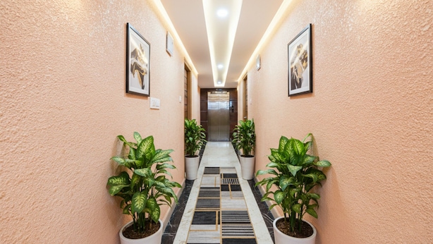 Um corredor com um caminho central, plantas em vasos de ambos os lados e quadros nas paredes.