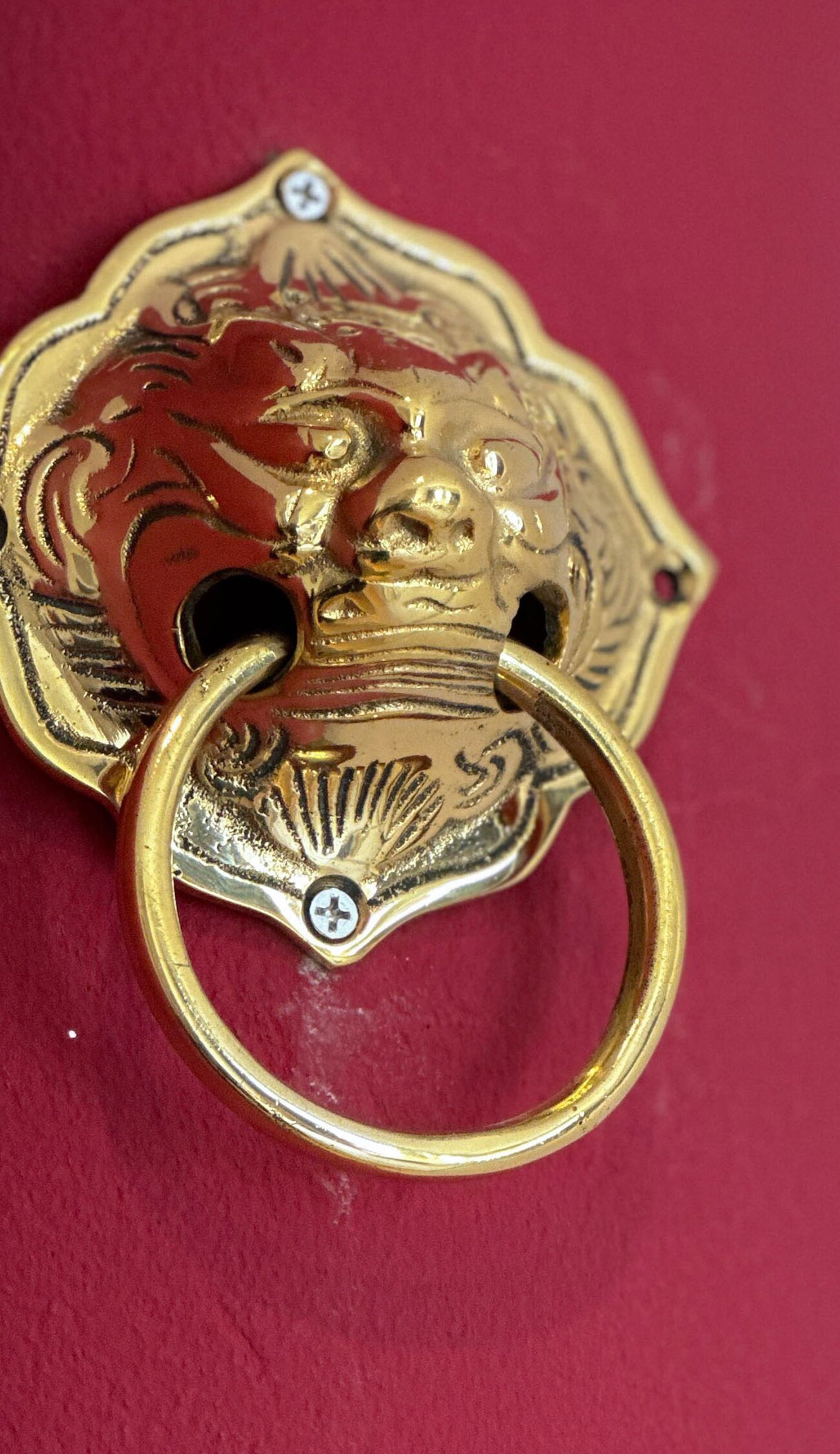 A detailed metal object with a circular ring, possibly a decorative piece or a lock.