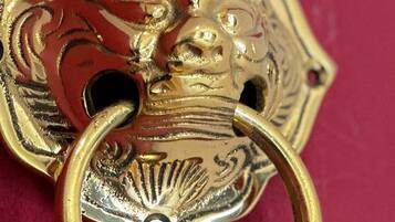 A detailed metal object with a circular ring, possibly a decorative piece or a lock.