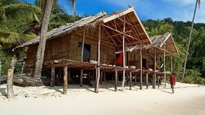 Een houten huis met rieten dak, verhoogd op palen, omringd door palmbomen en een zandstrand.