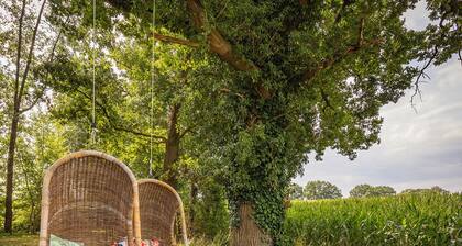 Find the boundary! Discovery in the Netherlands and Germany