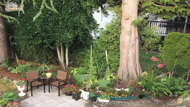 A patio area with a seating arrangement, surrounded by various plants and trees. - Cozy One Bed Suite Near Beach (White Rock)