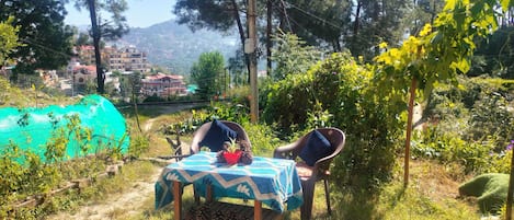 Studio | Restauration en plein air