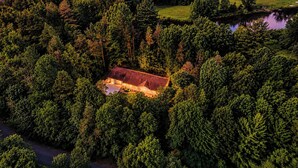 An isolated building surrounded by dense forest, with a visible driveway and a small pond nearby. - The Crescent Cottage | Kayaks | Bonfire | Lakeside (Fennville)