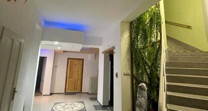 Cozy Studio in Zizkov, Prague