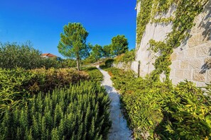 Terrein van de accommodatie