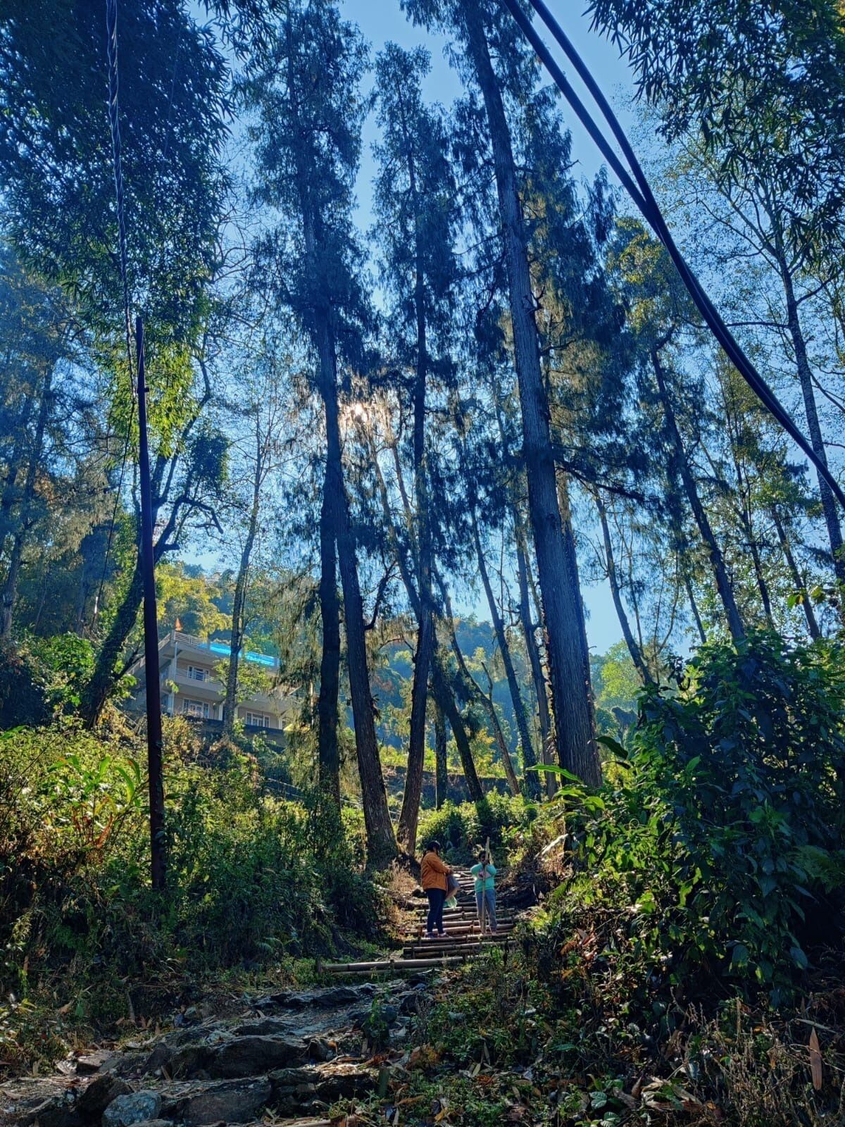 Ngoại thất