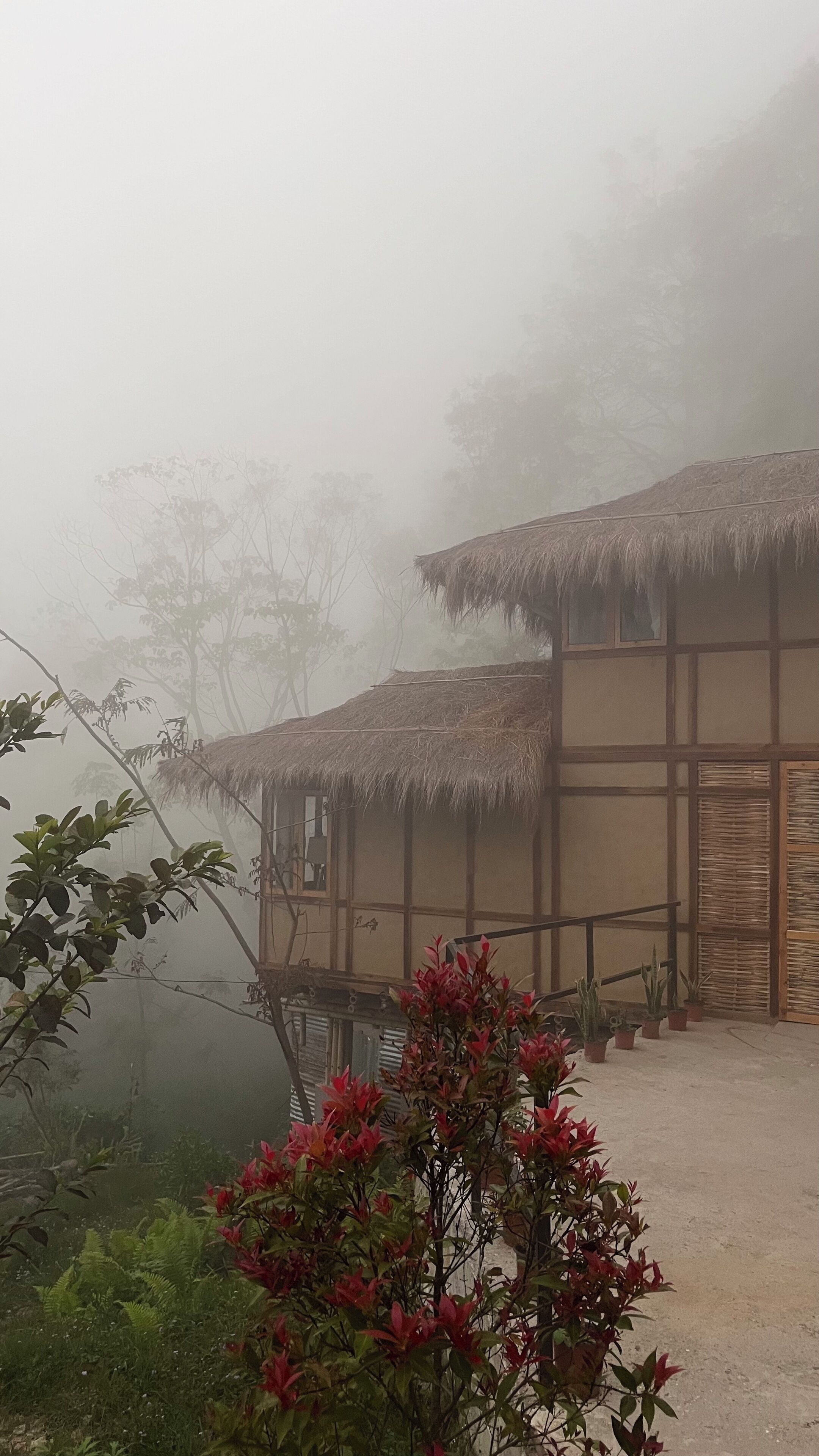 A rustic building with a thatched roof, surrounded by greenery and fog.