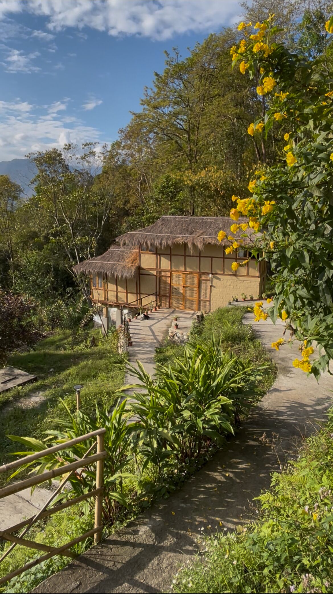 Familie cottage, uitzicht op heuvels | Terras