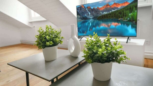 Uma sala de estar moderna com uma televisão de tela plana exibindo uma paisagem de montanhas, uma mesinha com duas plantas em vasos e um vaso branco.