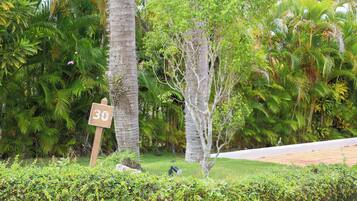 Àrea exterior de l'allotjament