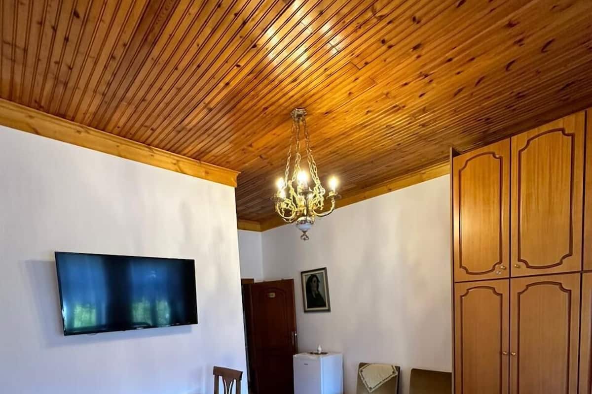 Premium tweepersoonskamer, 1 kingsize bed, privébadkamer, uitzicht op stad | Hypoallergeen beddengoed, donzen dekbedden, individueel gemeubileerd